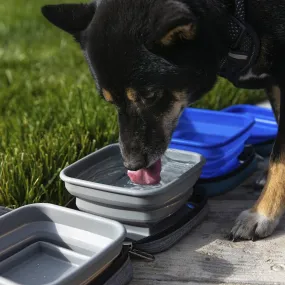 2-in-1 Portabowl Pet Bowl - Gray