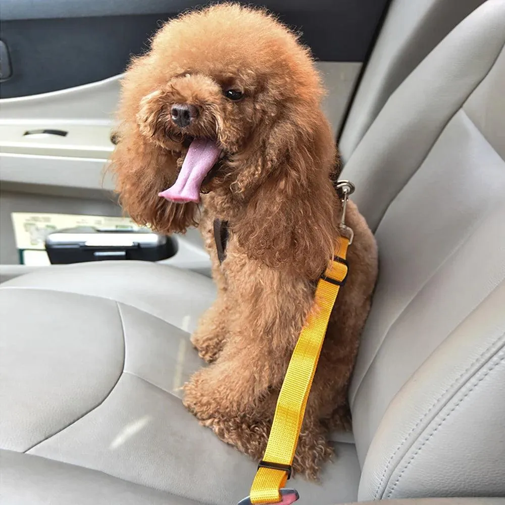 Adjustable Pet Car Safety Belt for Small to Medium Pets: Secure Travel Harness Clip