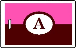 Bag Tags for Adults