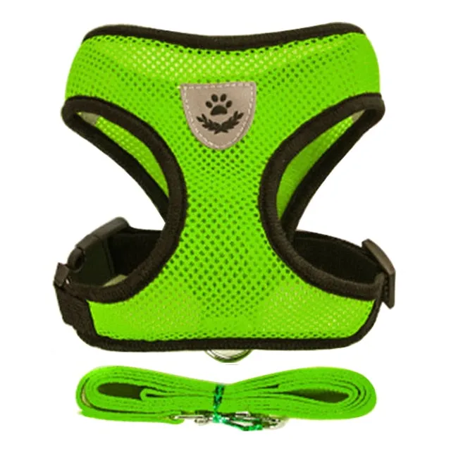 Cat Dog Adjustable Harness Vest Walking Lead Leash