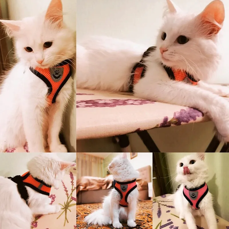 Cat Dog Adjustable Harness Vest Walking Lead Leash