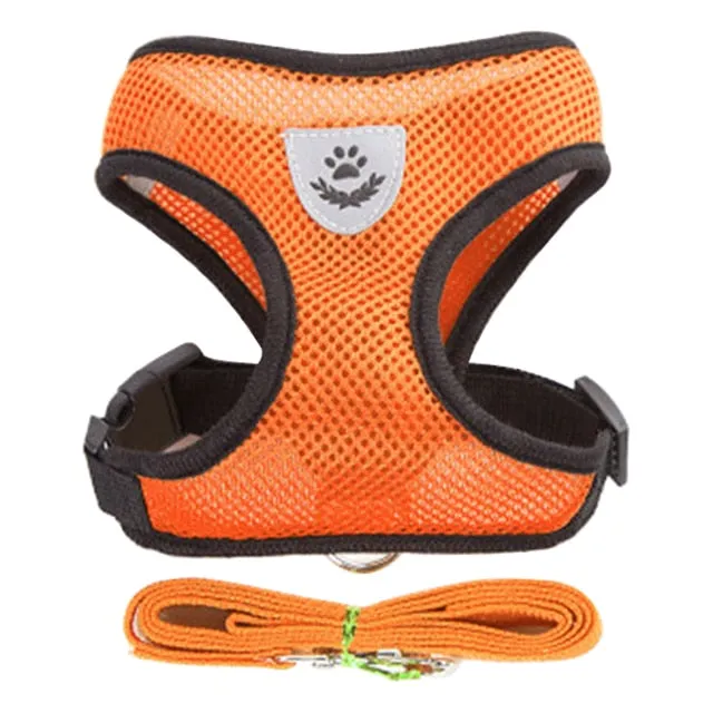 Cat Dog Adjustable Harness Vest Walking Lead Leash