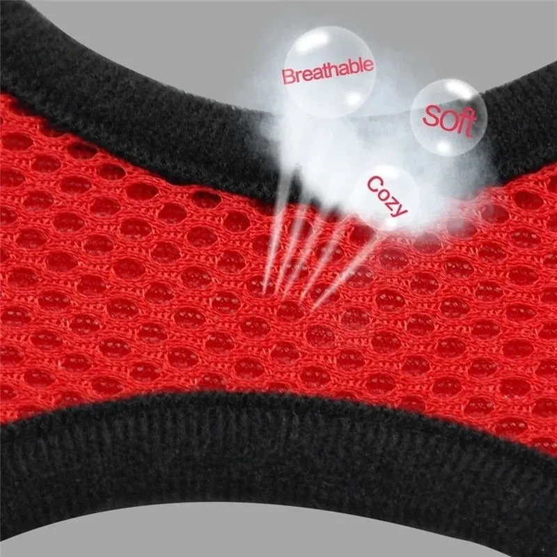 Cat Dog Adjustable Harness Vest Walking Lead Leash