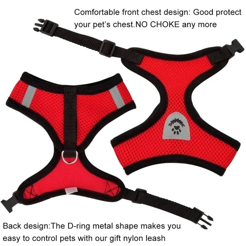 Cat Dog Adjustable Harness Vest Walking Lead Leash
