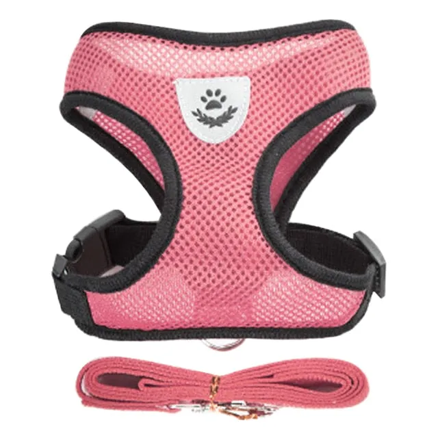 Cat Dog Adjustable Harness Vest Walking Lead Leash