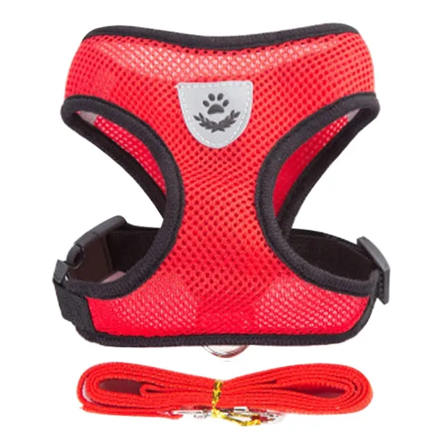 Cat Dog Adjustable Harness Vest Walking Lead Leash