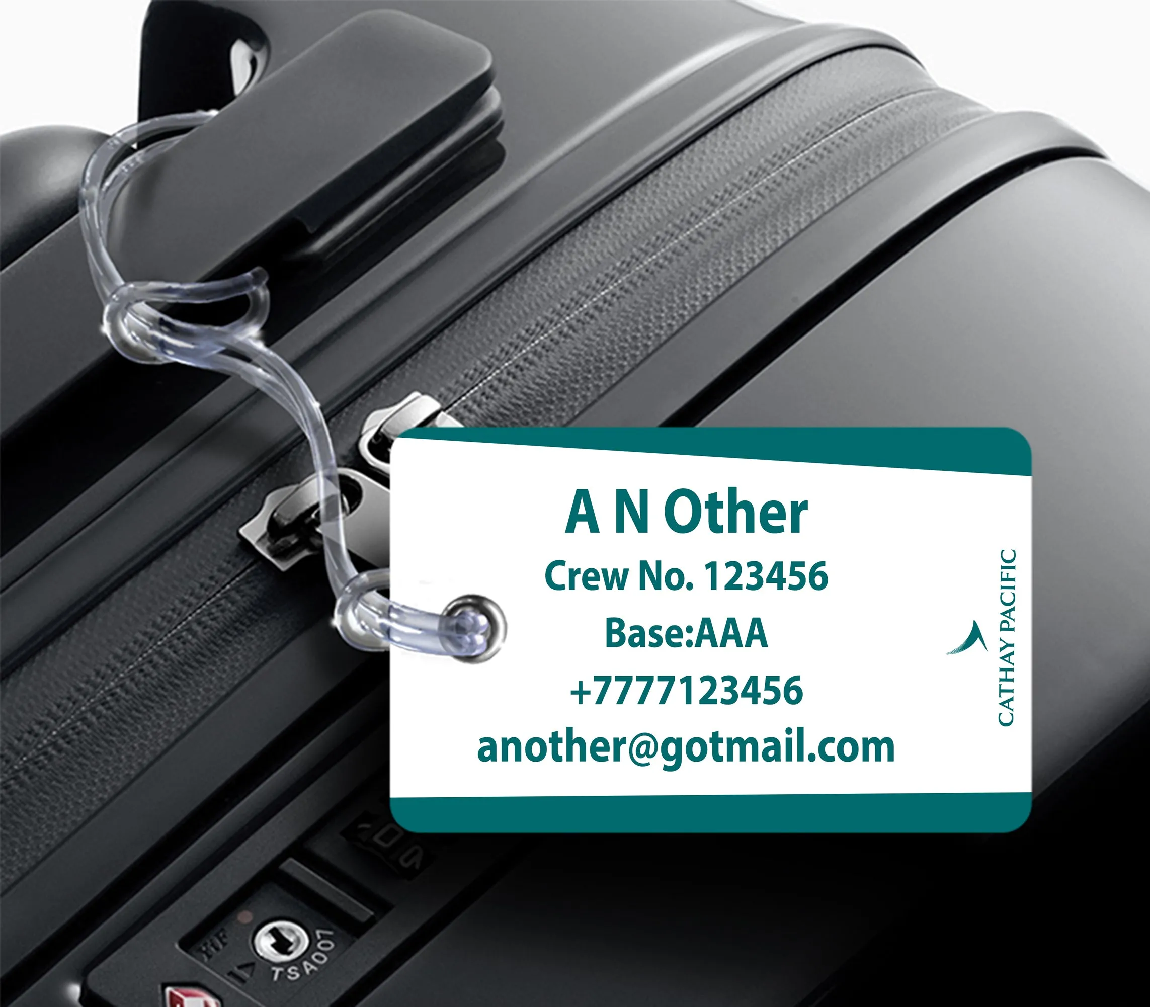 Cathay Pacific A350 Luggage Tag