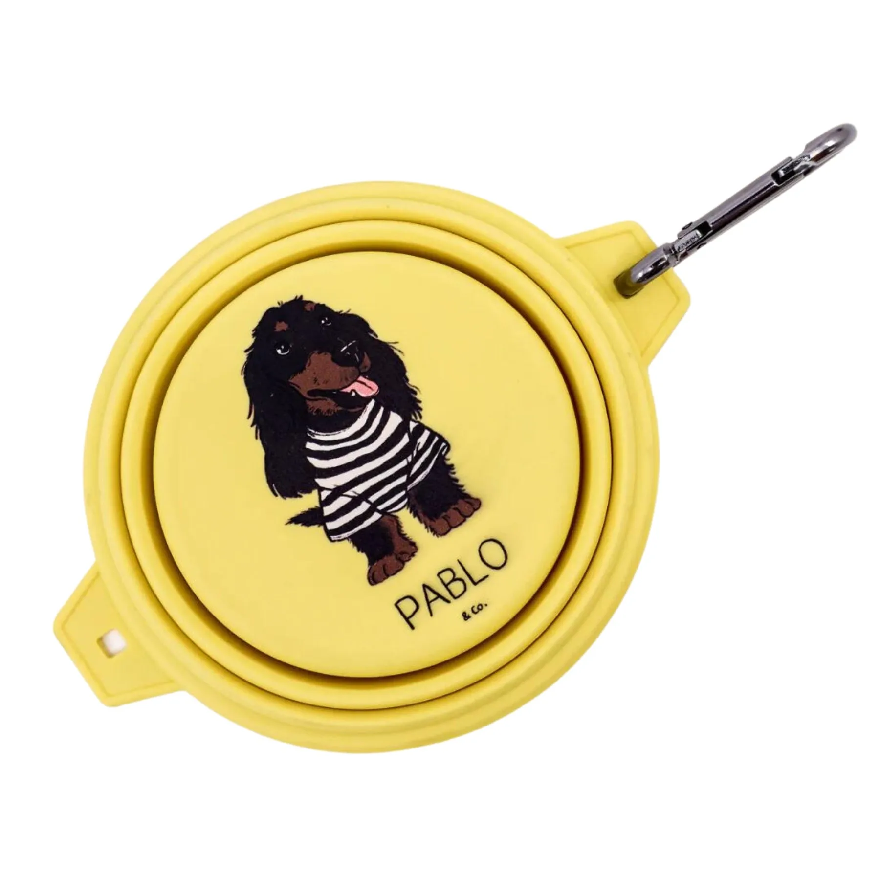Collapsible Dog Water Bowl