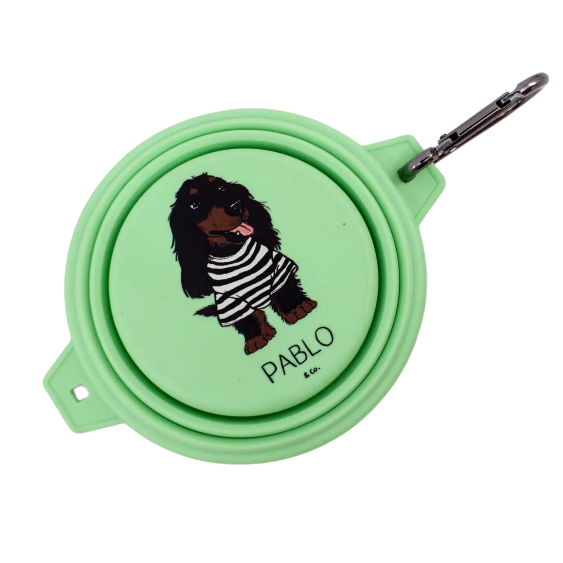Collapsible Dog Water Bowl