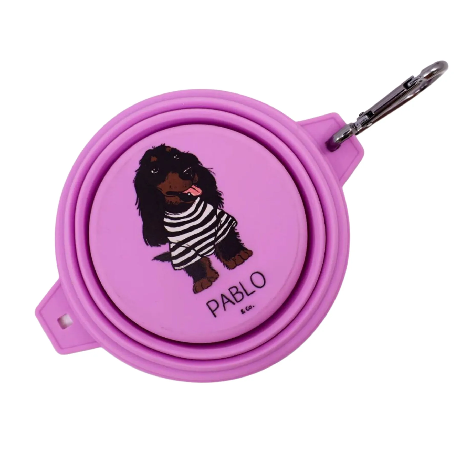 Collapsible Dog Water Bowl