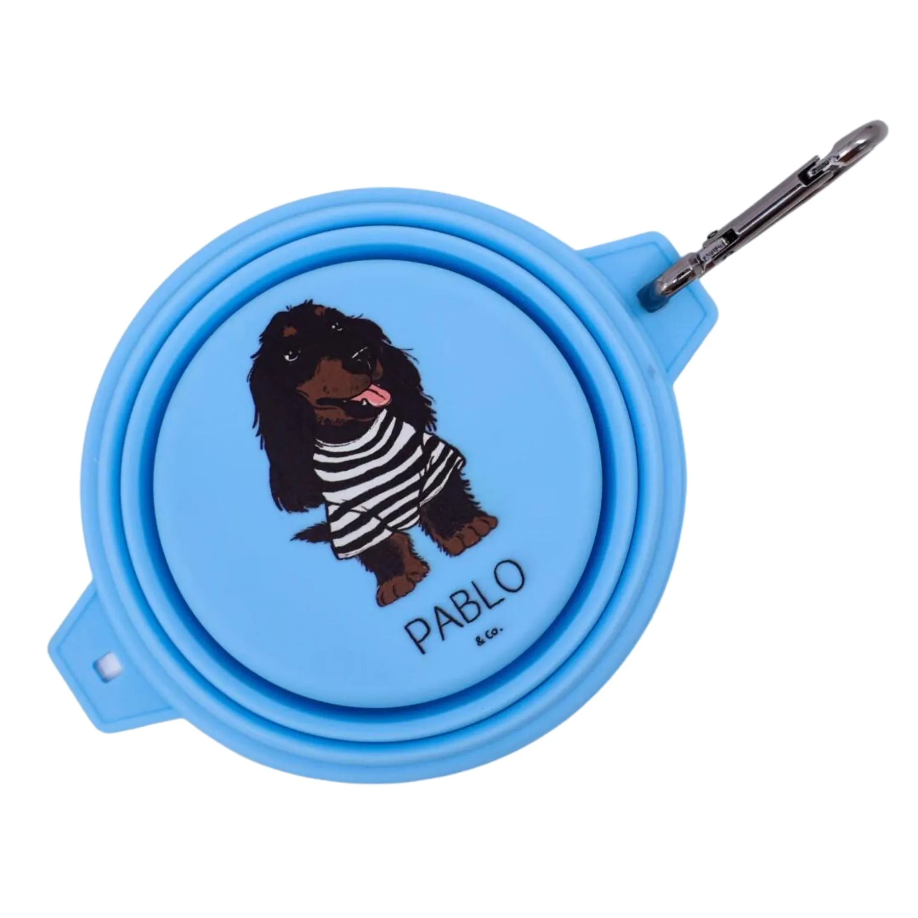 Collapsible Dog Water Bowl