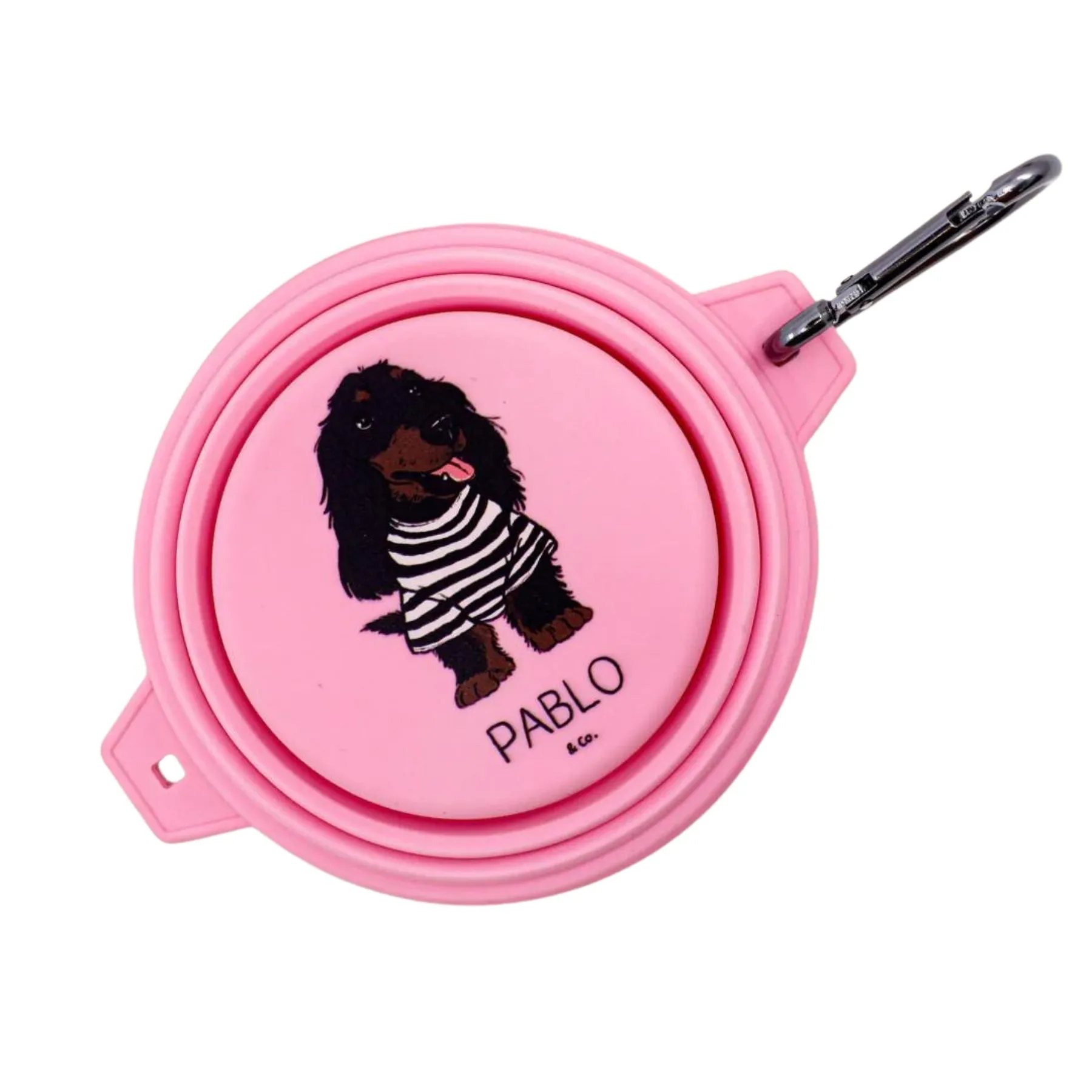 Collapsible Dog Water Bowl