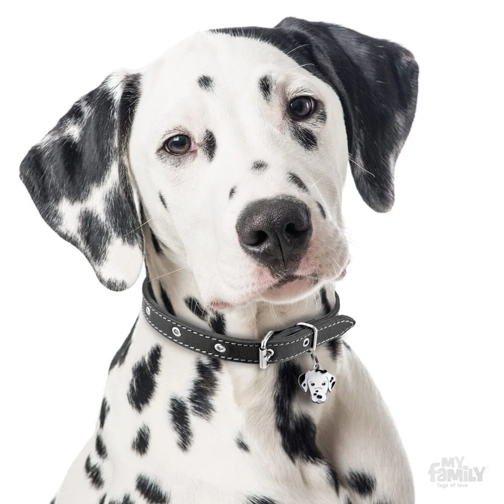 Dalmatian Dog Name Tag