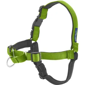 Deluxe Easy Walk Med/Lrg No Pull Harness Apple/Black