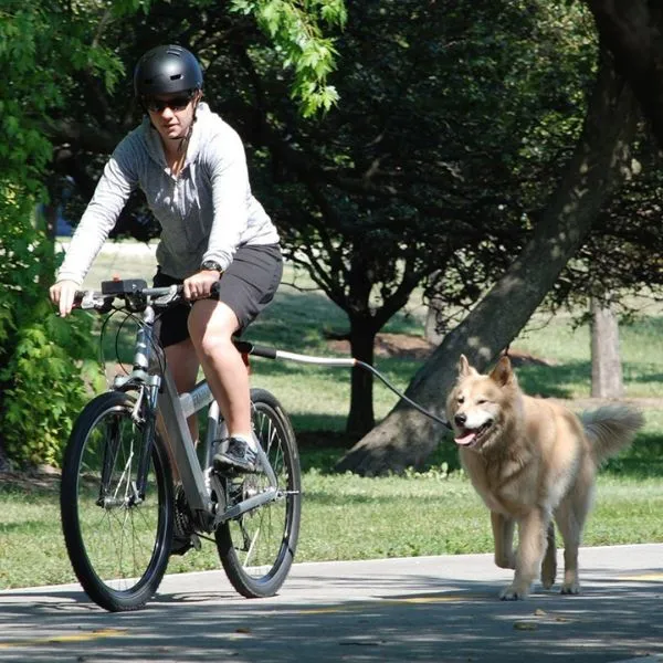 Dog Bike Harness