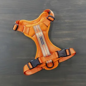 Dog Harness