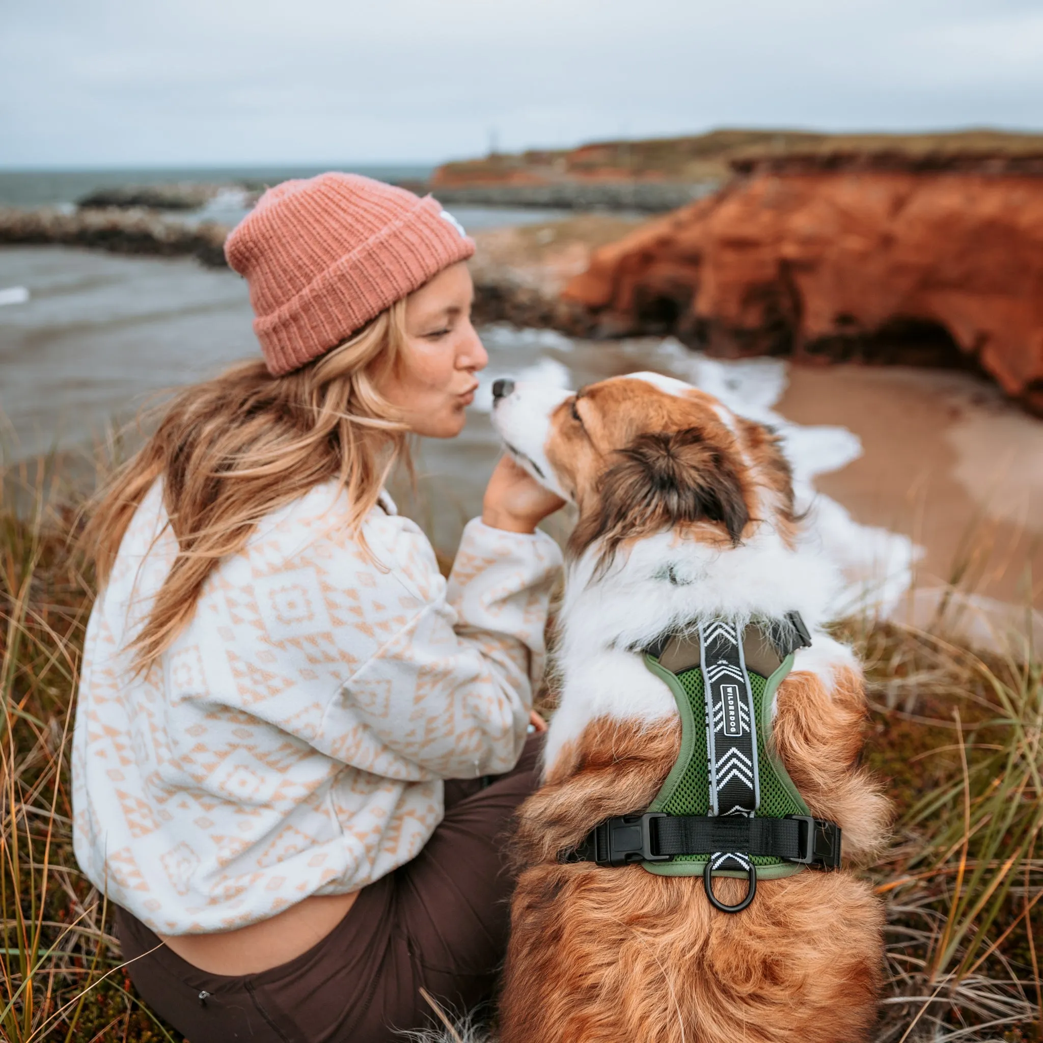 Dog Harness