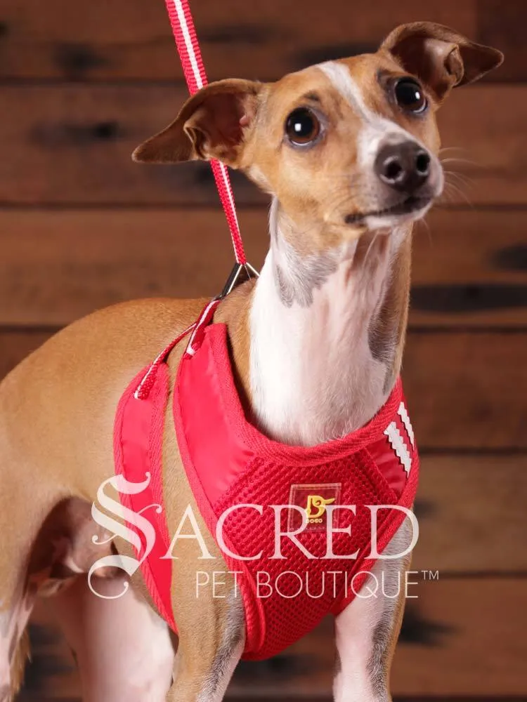 EasyGO pet harness