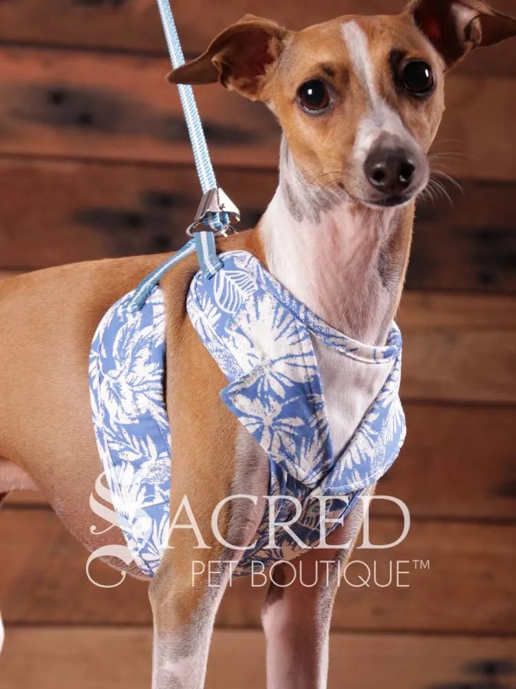 EasyGO pet harness
