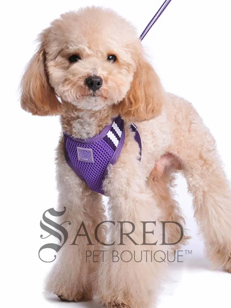 EasyGO pet harness