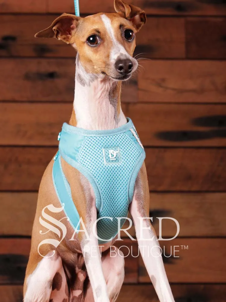 EasyGO pet harness