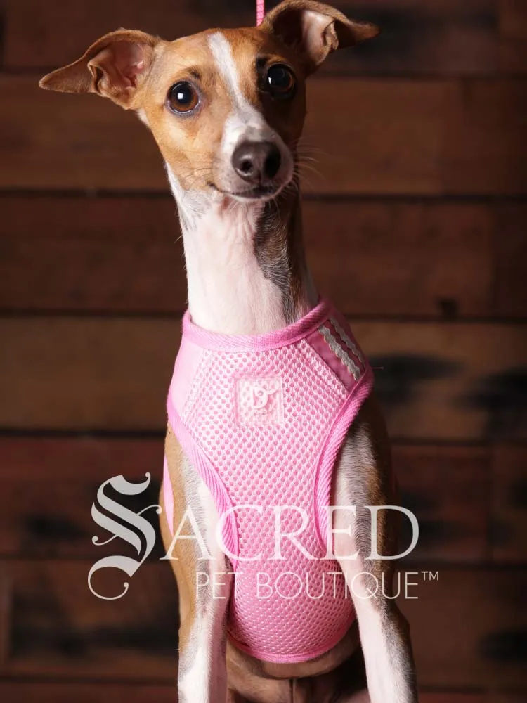 EasyGO pet harness