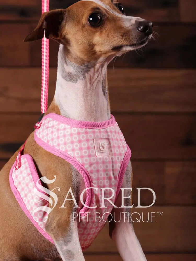 EasyGO pet harness