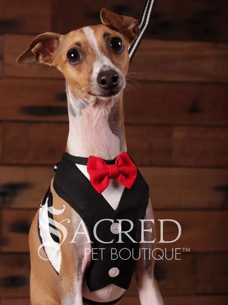 EasyGO pet harness