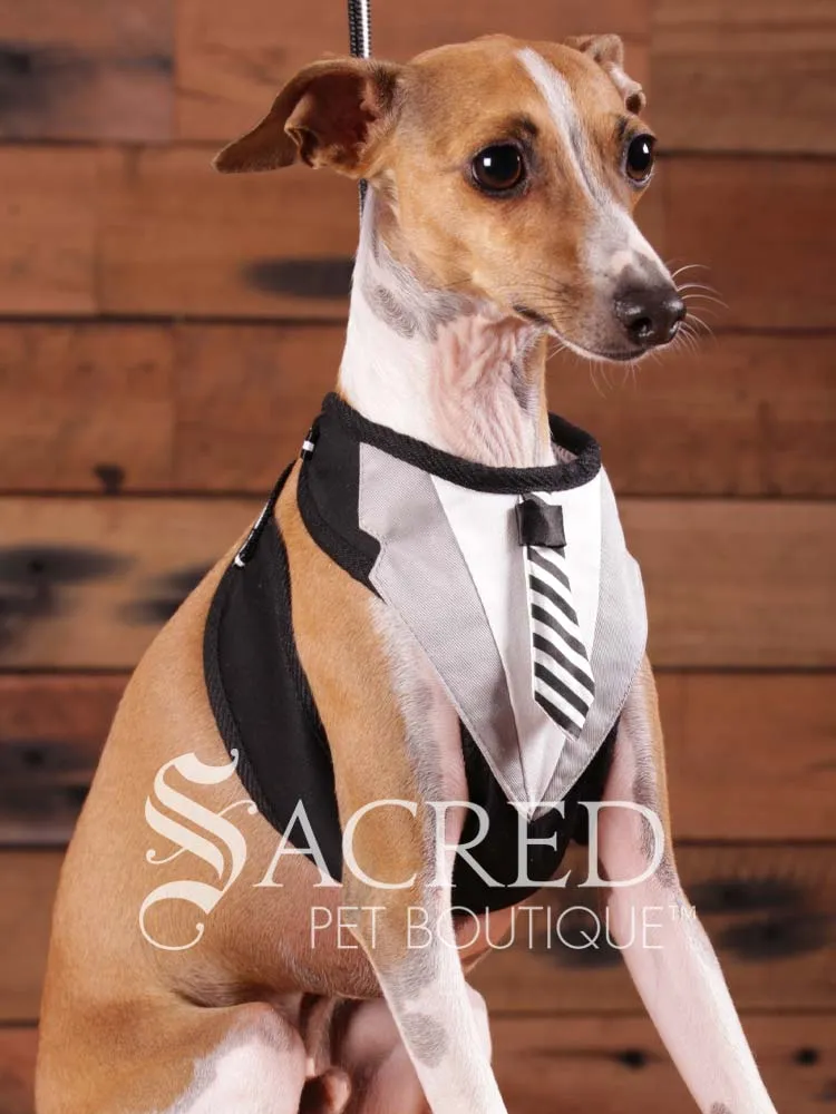 EasyGO pet harness