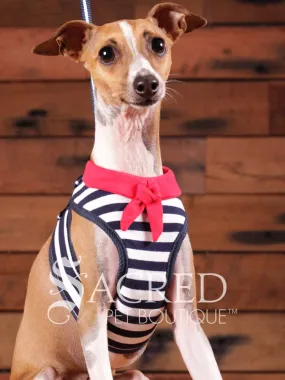 EasyGO pet harness