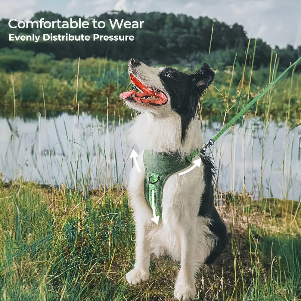 Sustainable No-Pull Dog Harness and Leash Set made from Recycled Fabrics