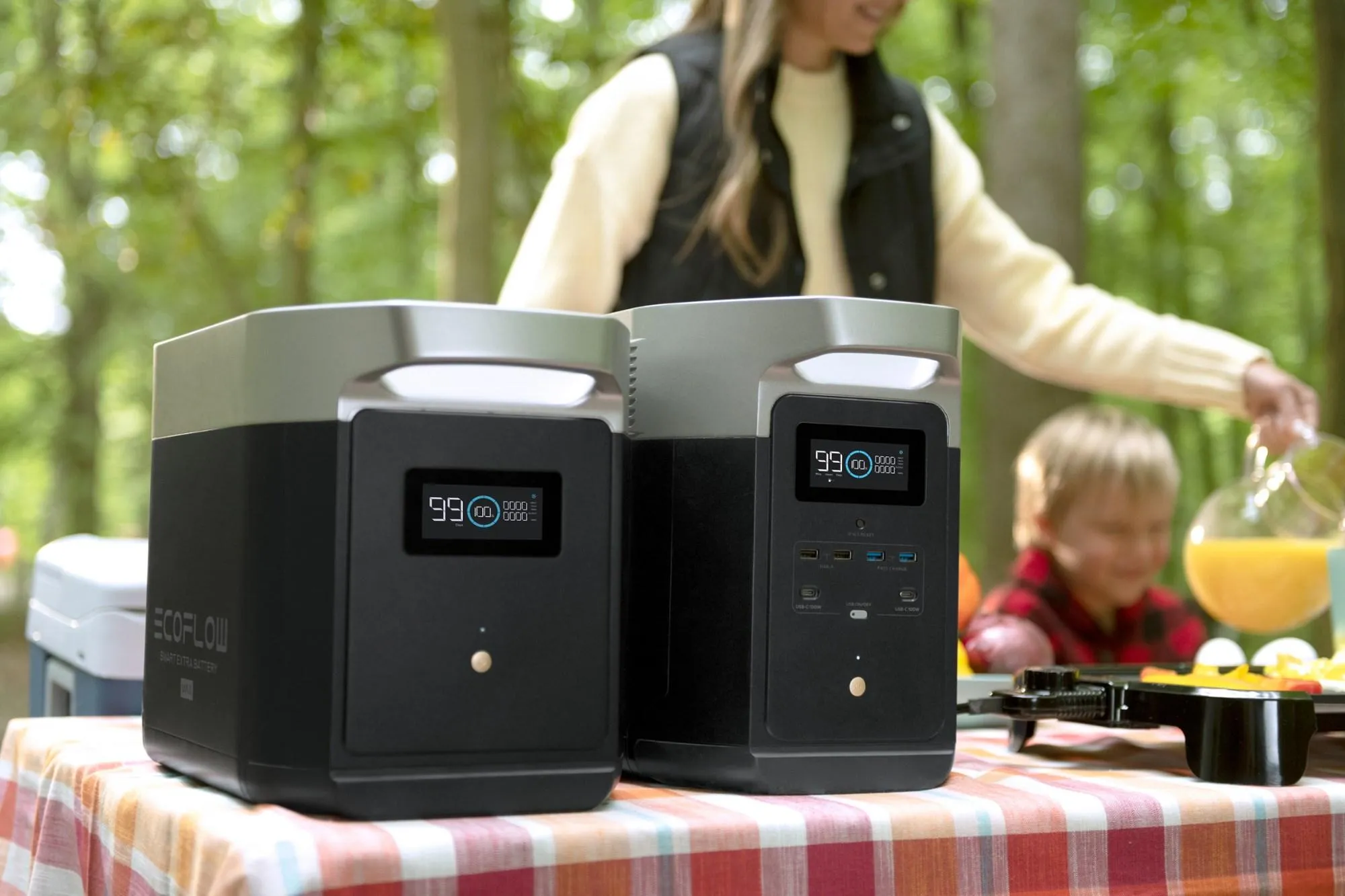 EcoFlow DELTA Max 1600 1612Wh Portable Lithium Power Station