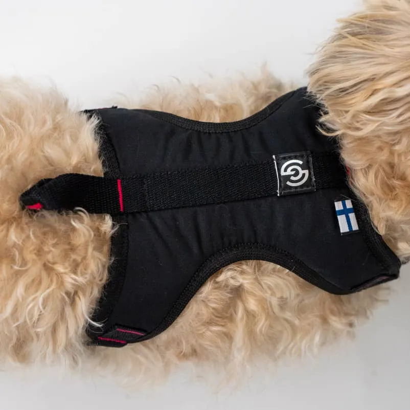 Harness for city dogs