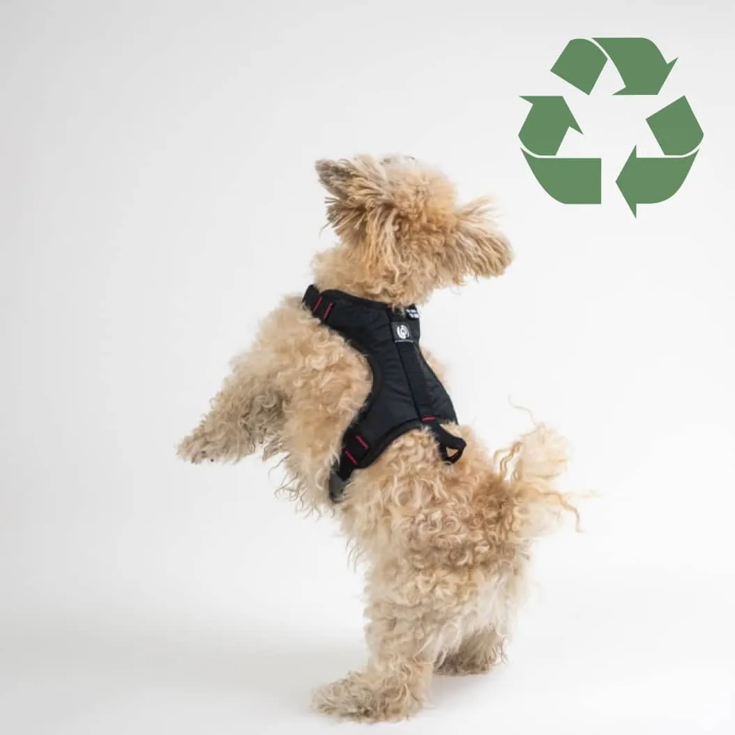 Harness for city dogs