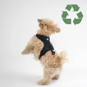 Harness for city dogs