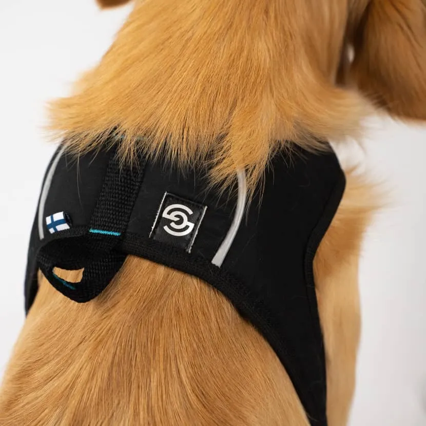 Harness for everyday walking