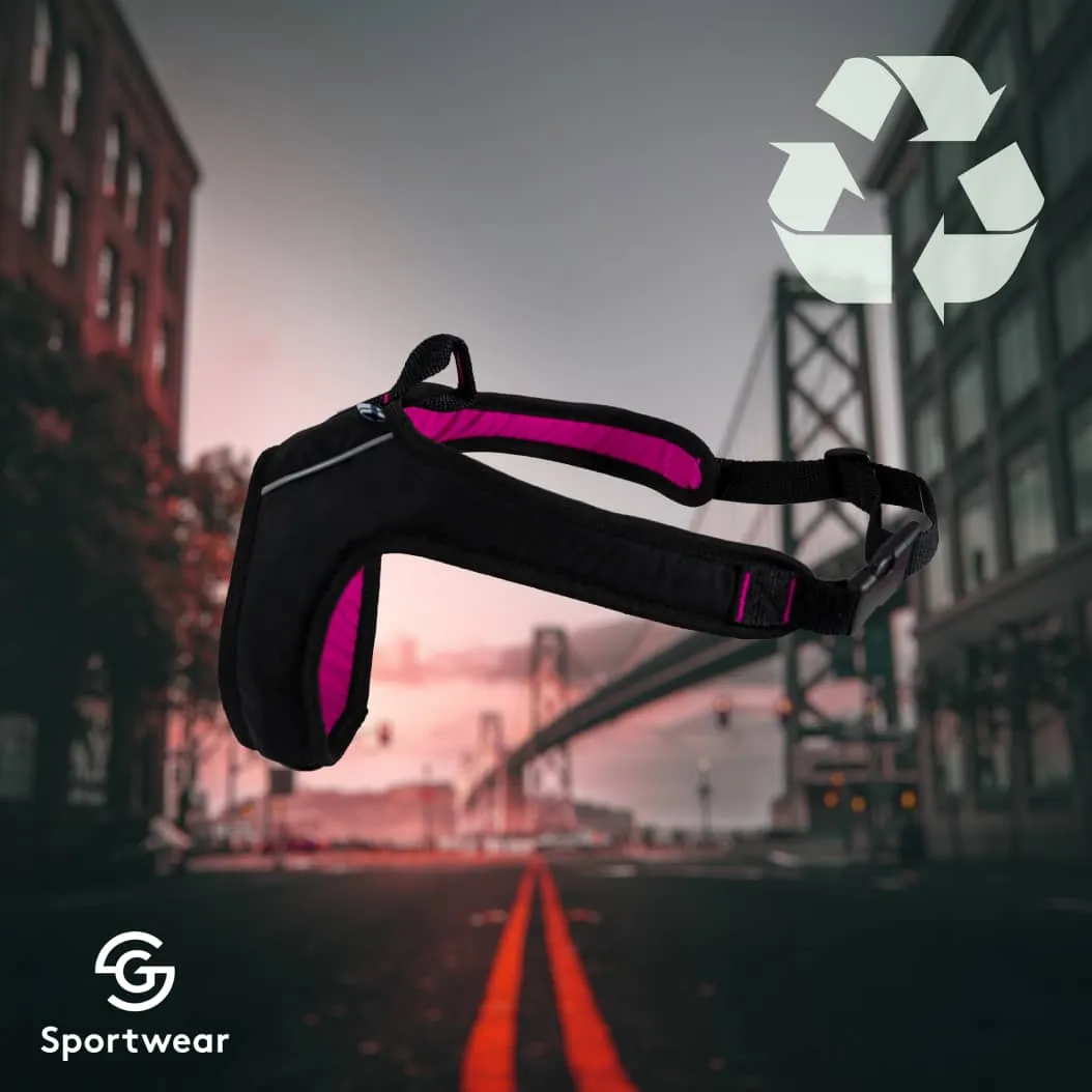 Harness for everyday walking