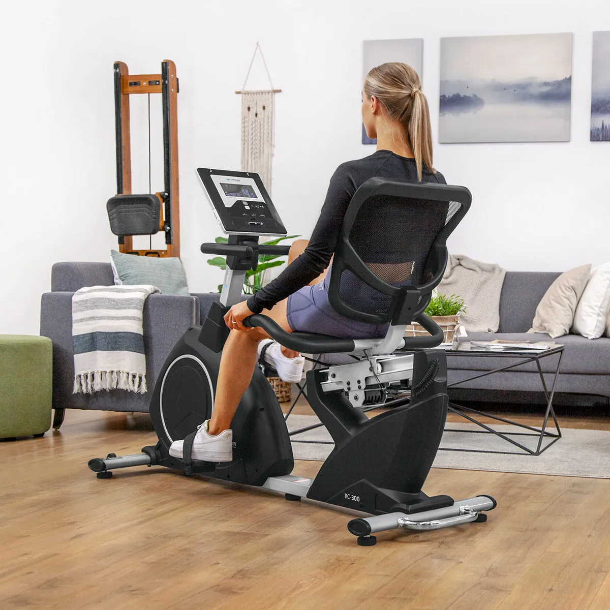 Lifespan Fitness - RC-300 Recumbent Bike
