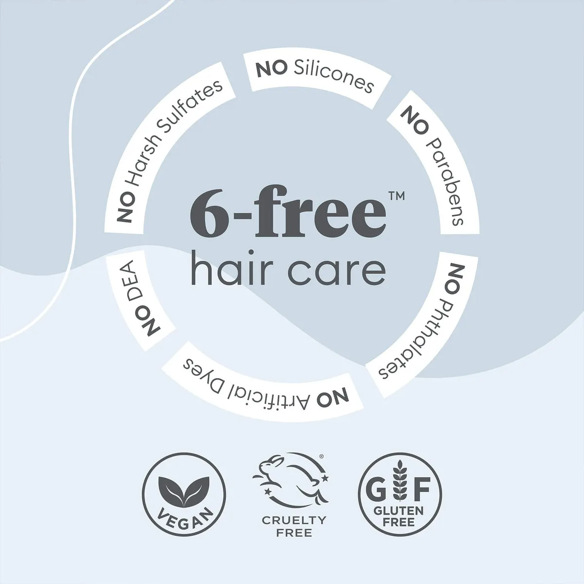 MegaStrength  Dandruff Relief Shampoo Charcoal   AHA/BHA
