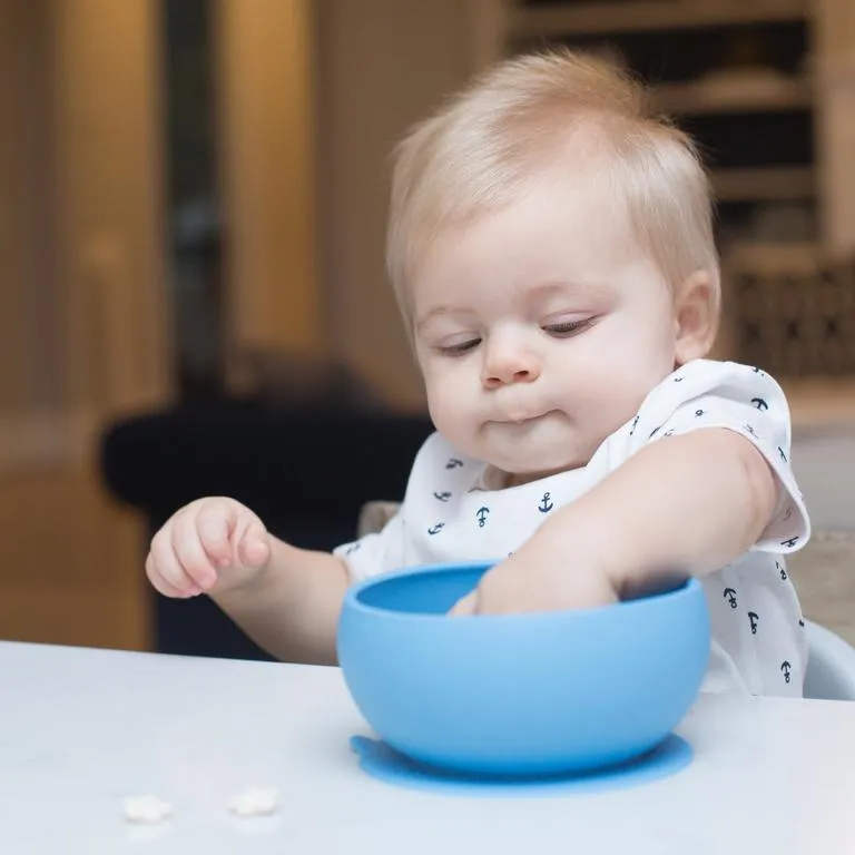 Mr. Mess Suction Wonder Bowl