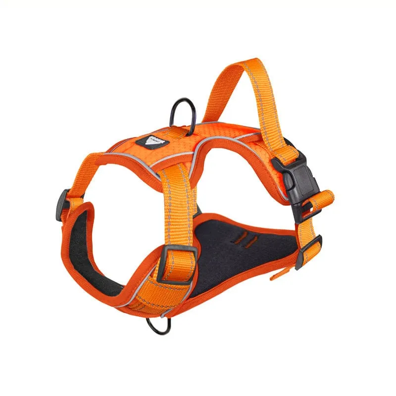 No-Pull Reflective Vest Harness