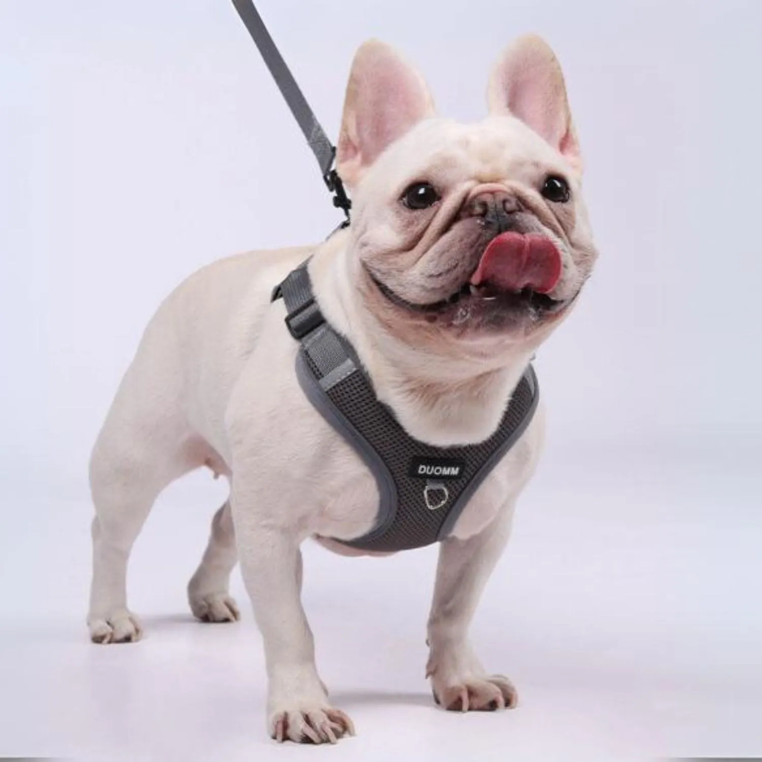 Pawzen Frenchie No Pull Harness with Explosion-Proof Design