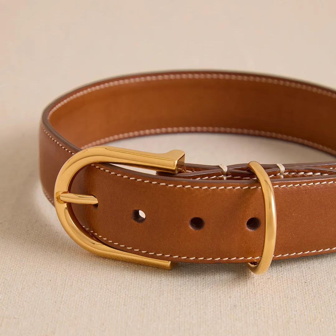 Pet Collar 30 in Luggage