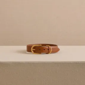 Pet Collar 30 in Luggage