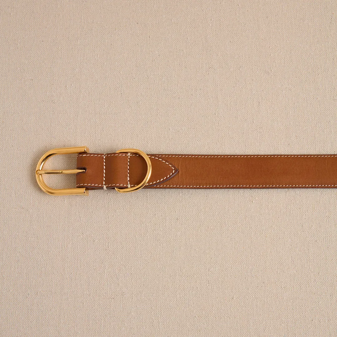 Pet Collar 30 in Luggage