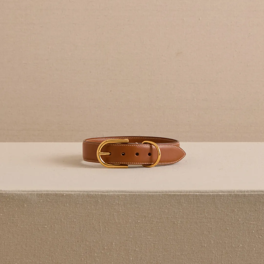 Pet Collar 30 in Luggage