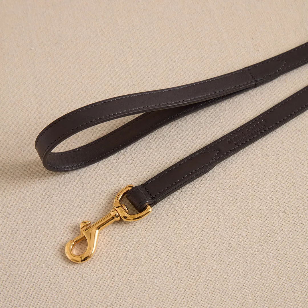 Pet Leash 15 in Black