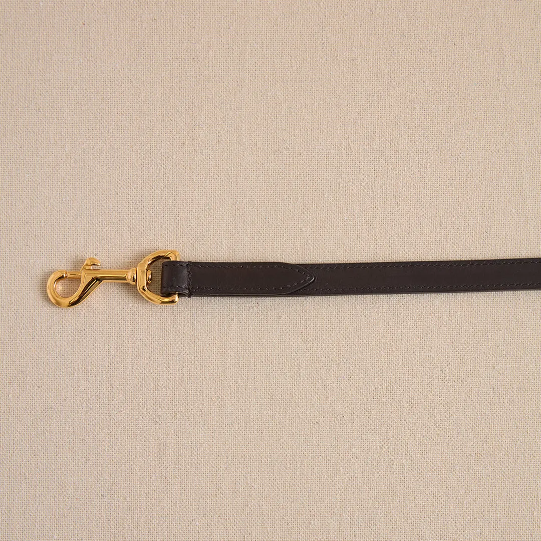 Pet Leash 15 in Black