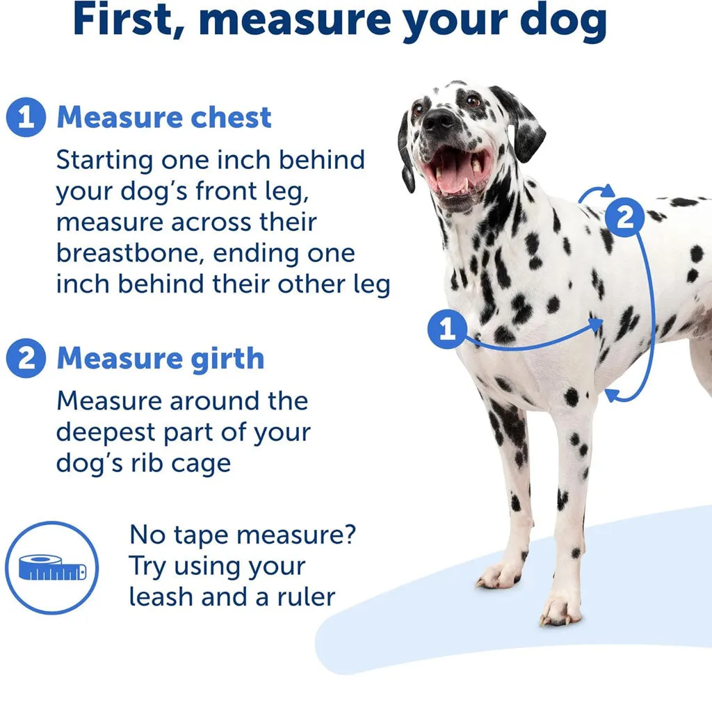 PetSafe Deluxe Easy Walk No Pull Dog Harness, Ocean/Black