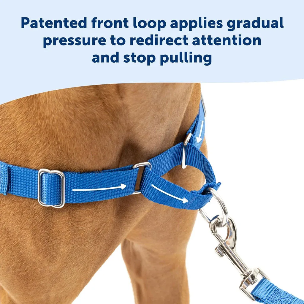 PetSafe Deluxe Easy Walk No Pull Dog Harness, Ocean/Black